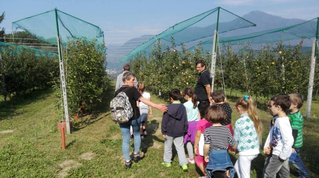 La visita al frutteto della mela Poppina