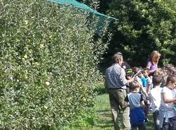 La visita al frutteto della mela Poppina