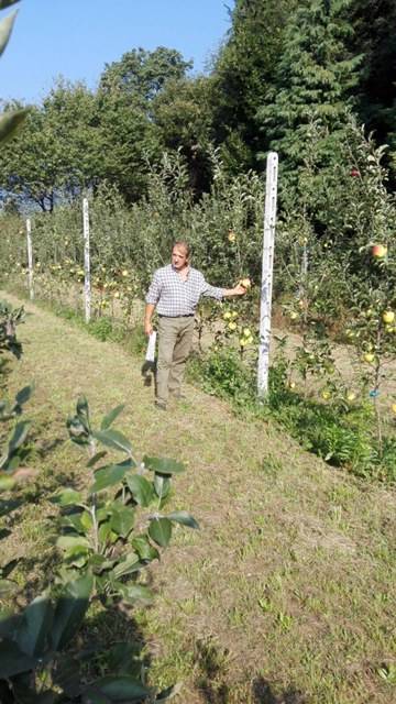 La visita al frutteto della mela Poppina