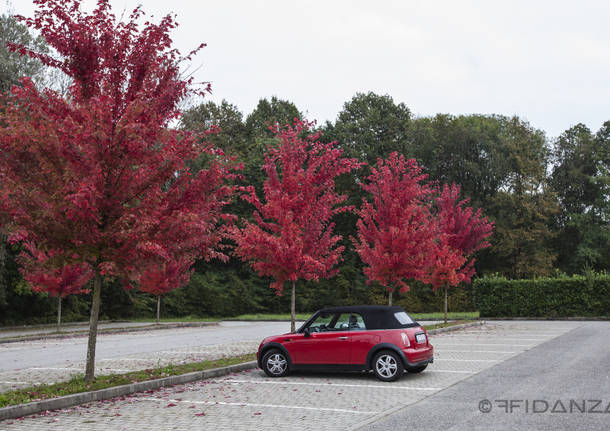 Ottobre rosso