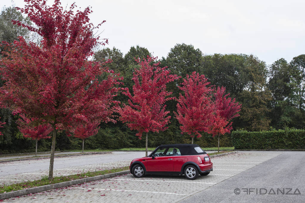 Ottobre rosso