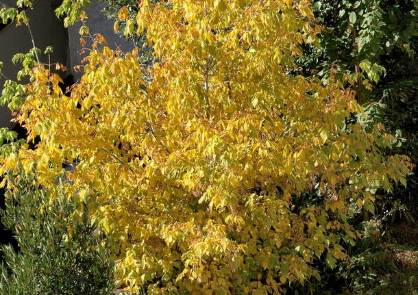 Primi colori d’autunno