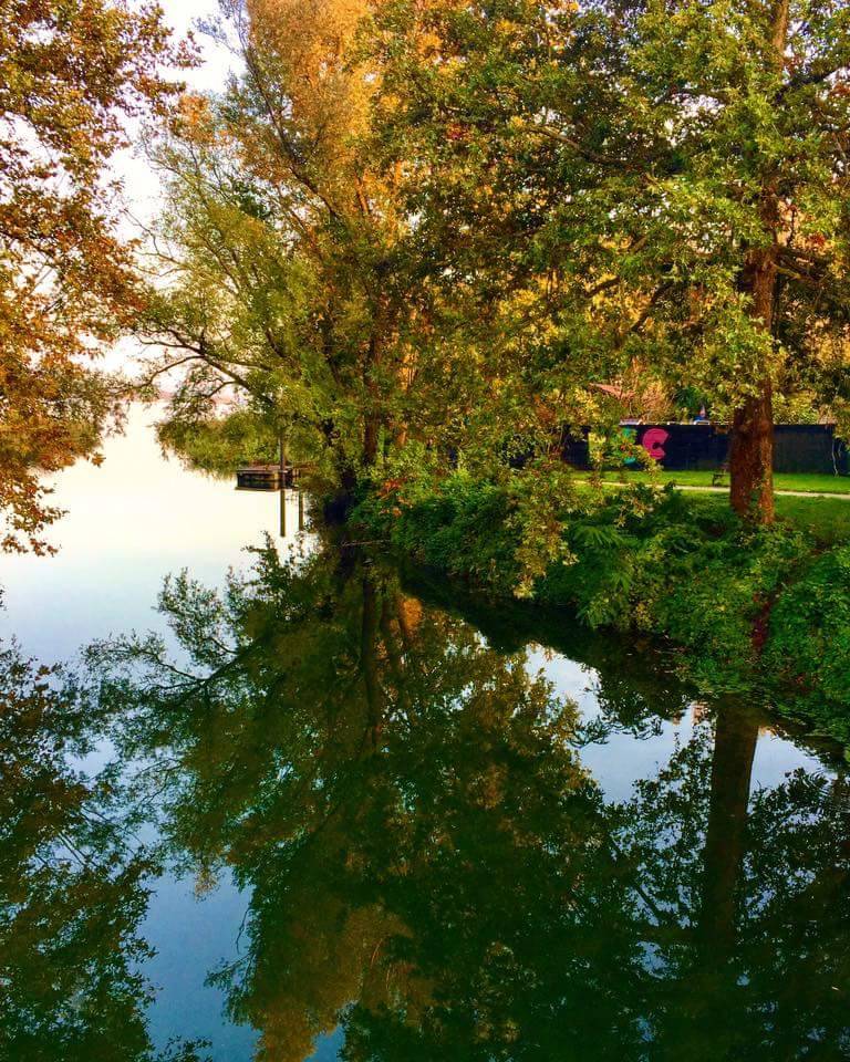 Riflessi