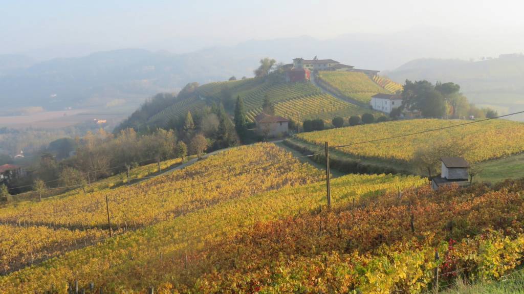 Langhe in autunno