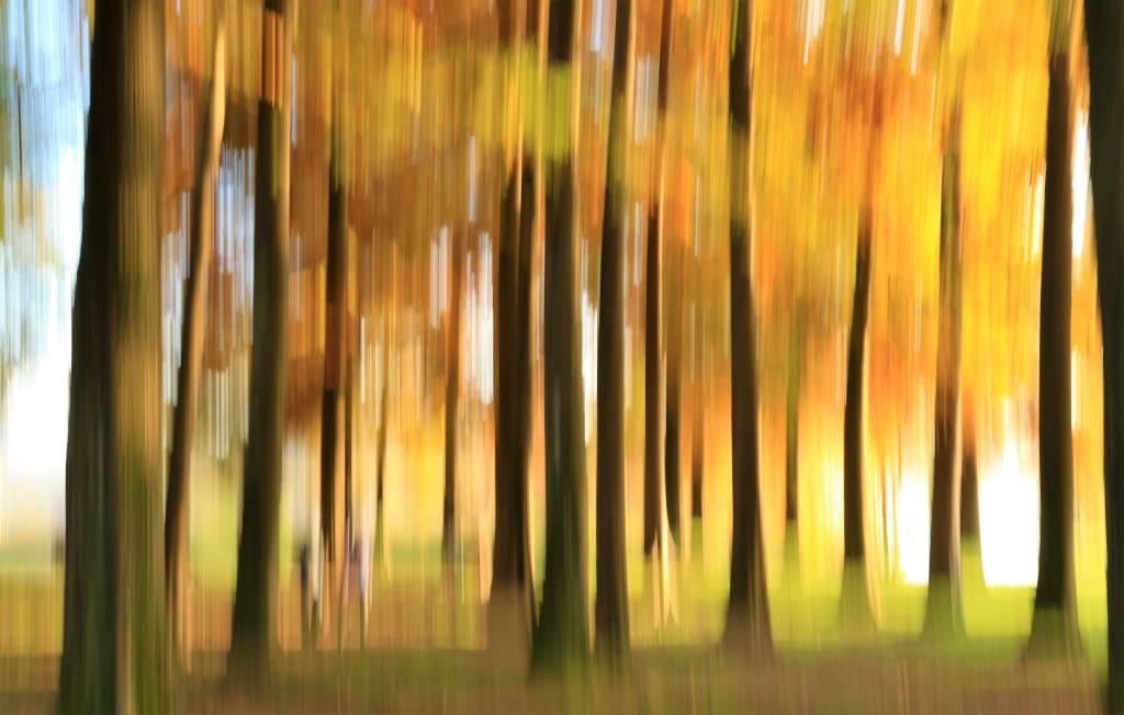 l\'Autunno di Parco Zanzi