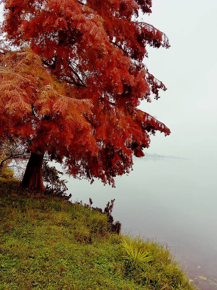 Silenzio parla la natura...