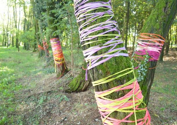 Battezzato il “Bosco della Pace” – Rescaldina