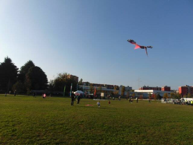 DSC02094