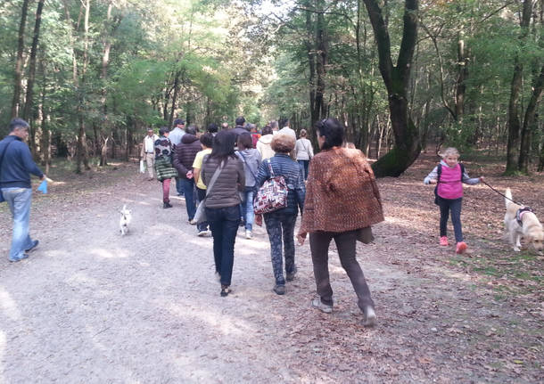 La Fai Marathon in brughiera