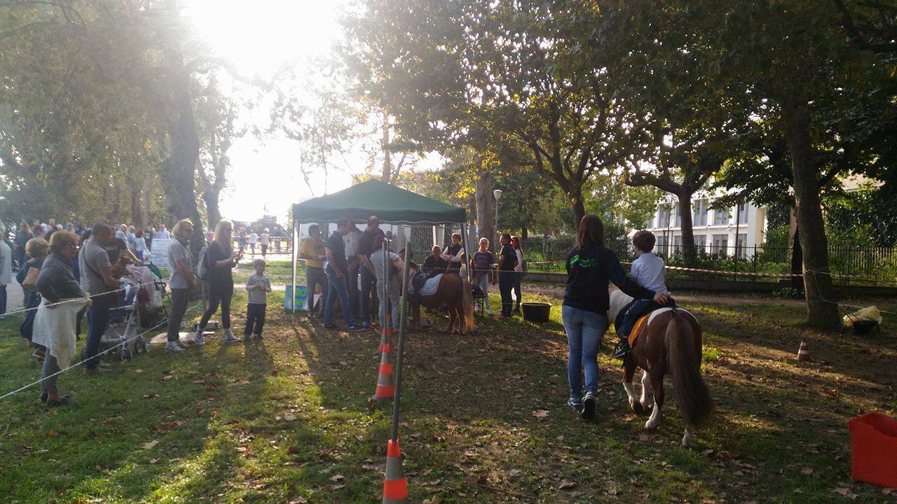 festa della zucca gavirate