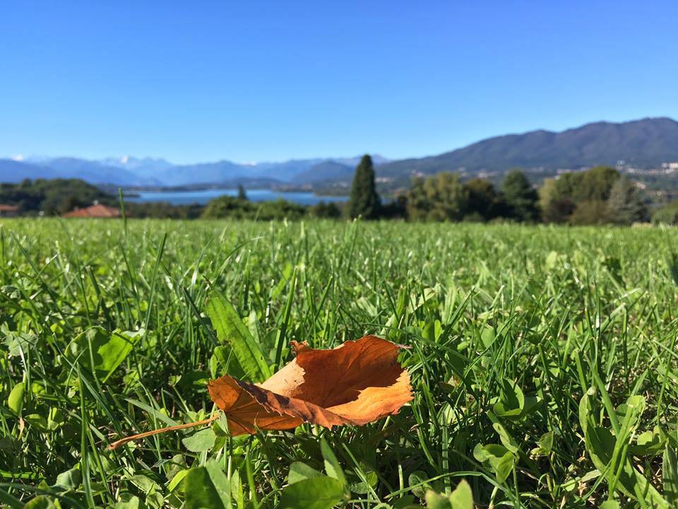 Foto del giorno ottobre 2016