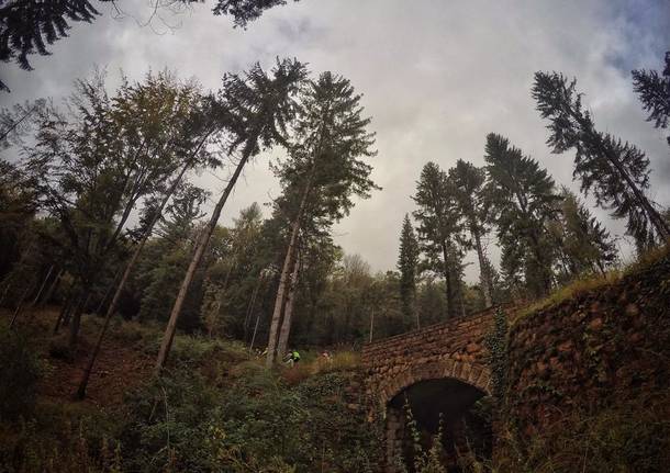 Foto del giorno ottobre 2016
