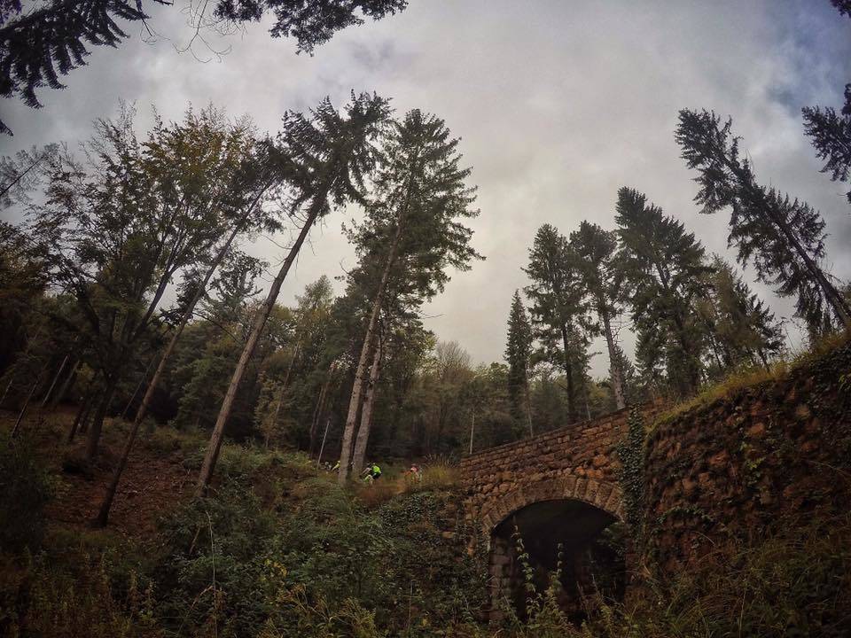 Foto del giorno ottobre 2016
