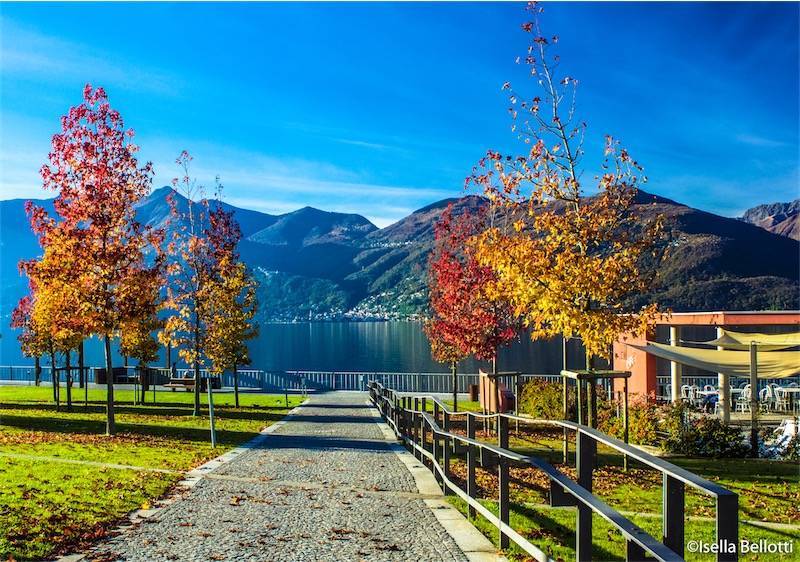 I colori d'autunno dei lettori