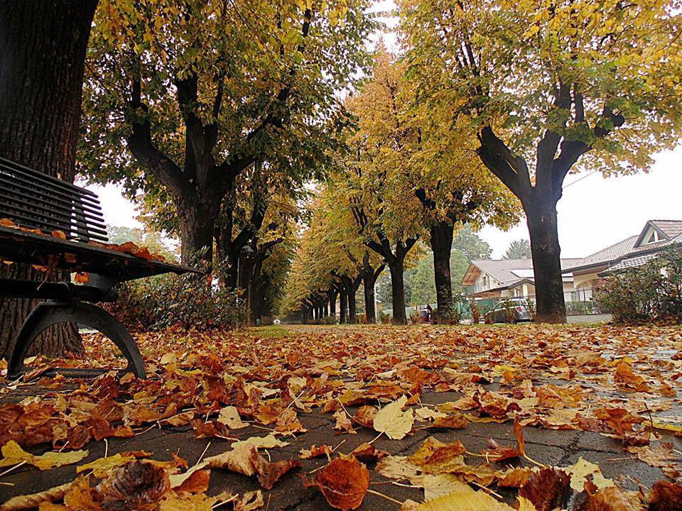 I colori d'autunno dei lettori