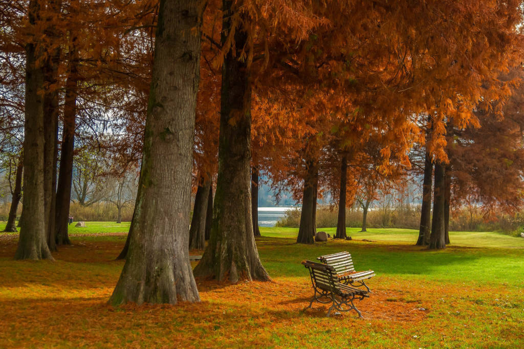 I colori d'autunno dei lettori