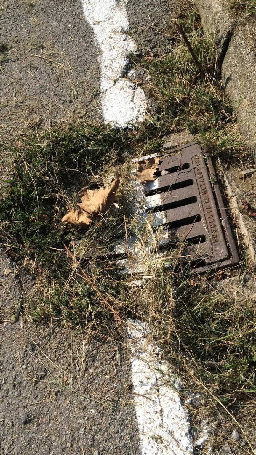 Il verde "dimenticato" a Busto Arsizio