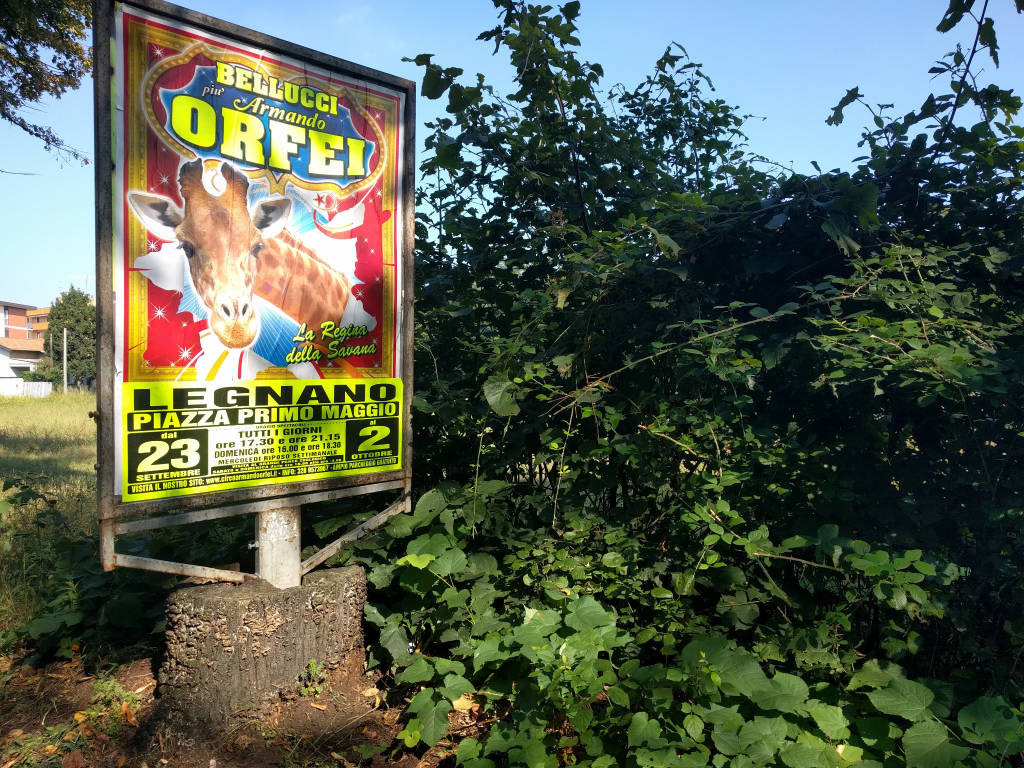 Il verde "dimenticato" a Busto Arsizio