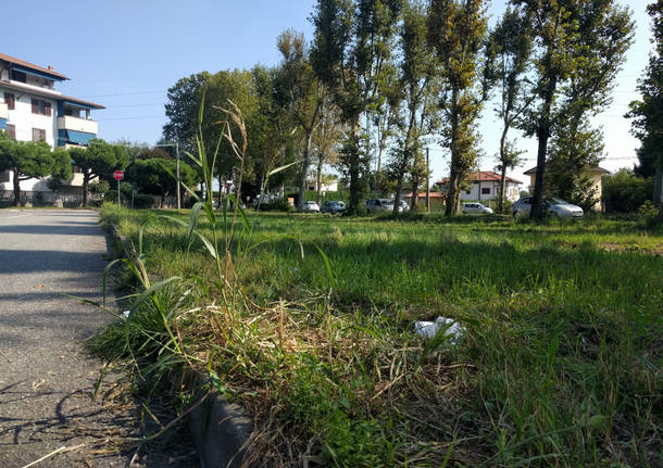 Il verde "dimenticato" a Busto Arsizio