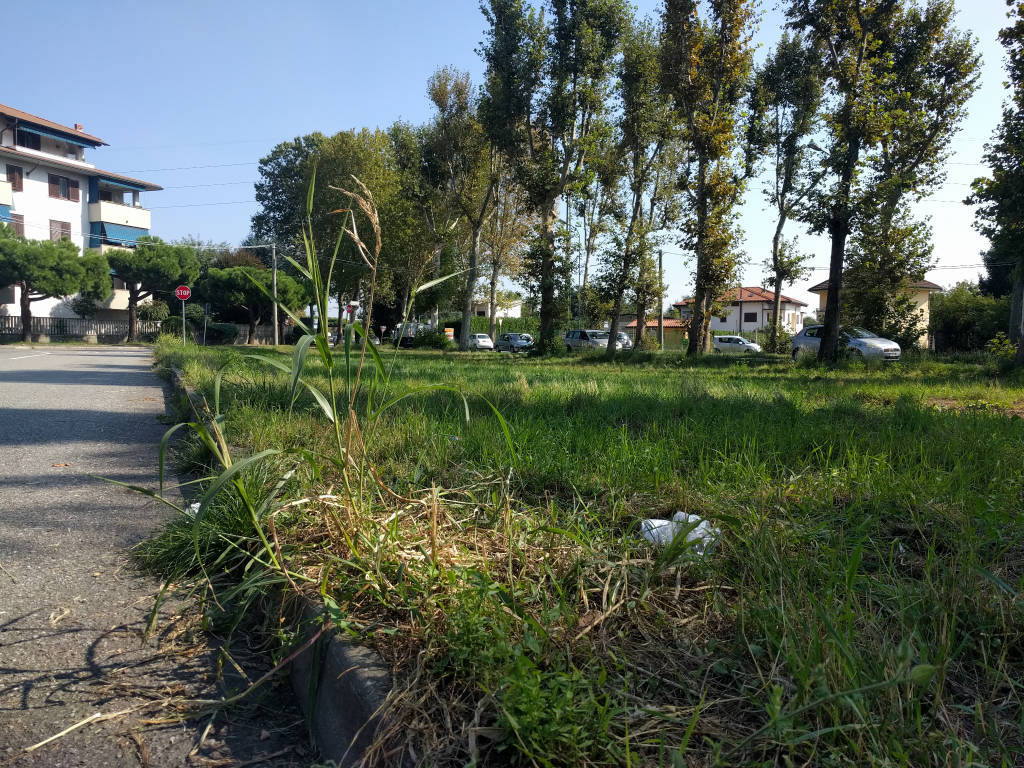 Il verde "dimenticato" a Busto Arsizio
