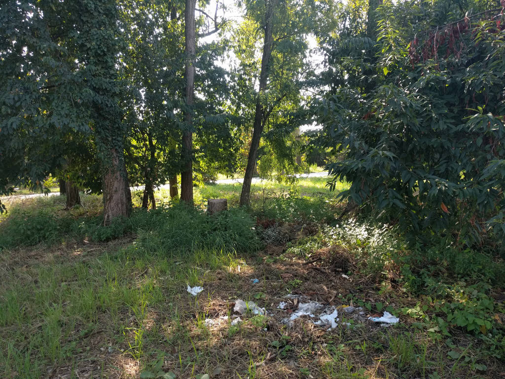 Il verde "dimenticato" a Busto Arsizio