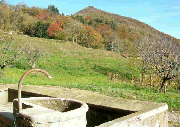 Induno Olona generiche