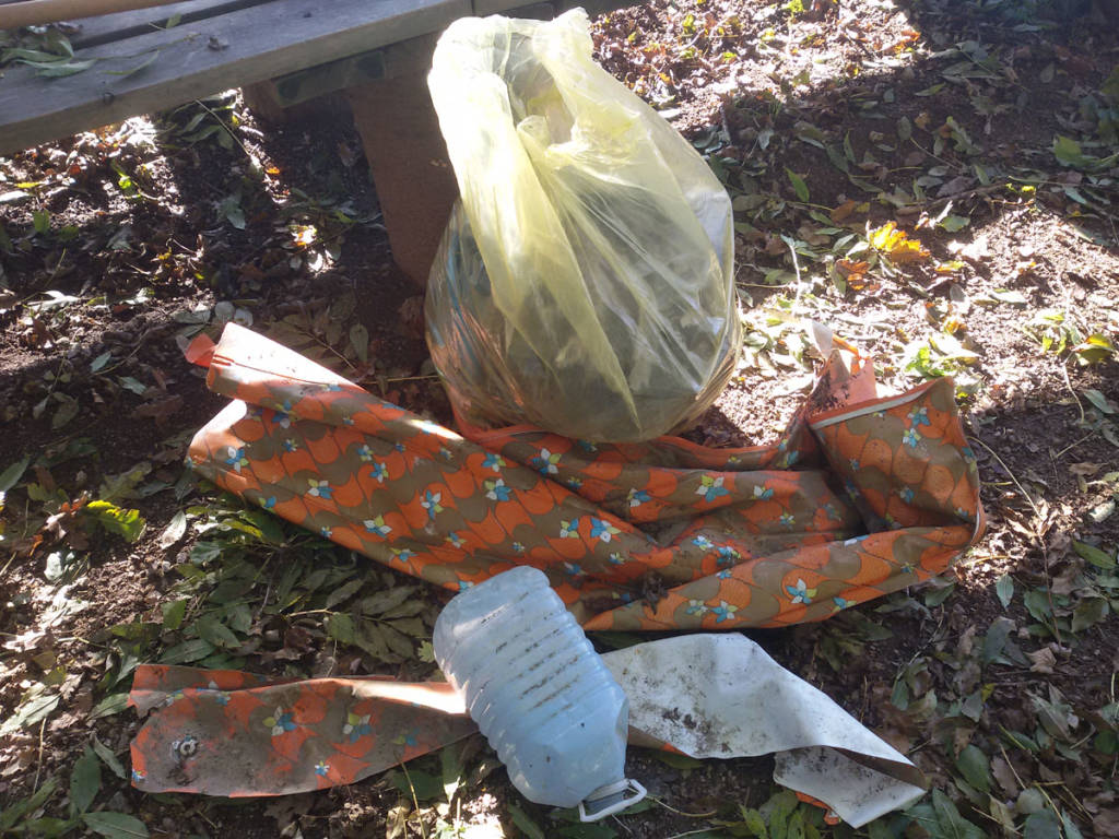 Induno Olona - Pulizia Monte Monarco