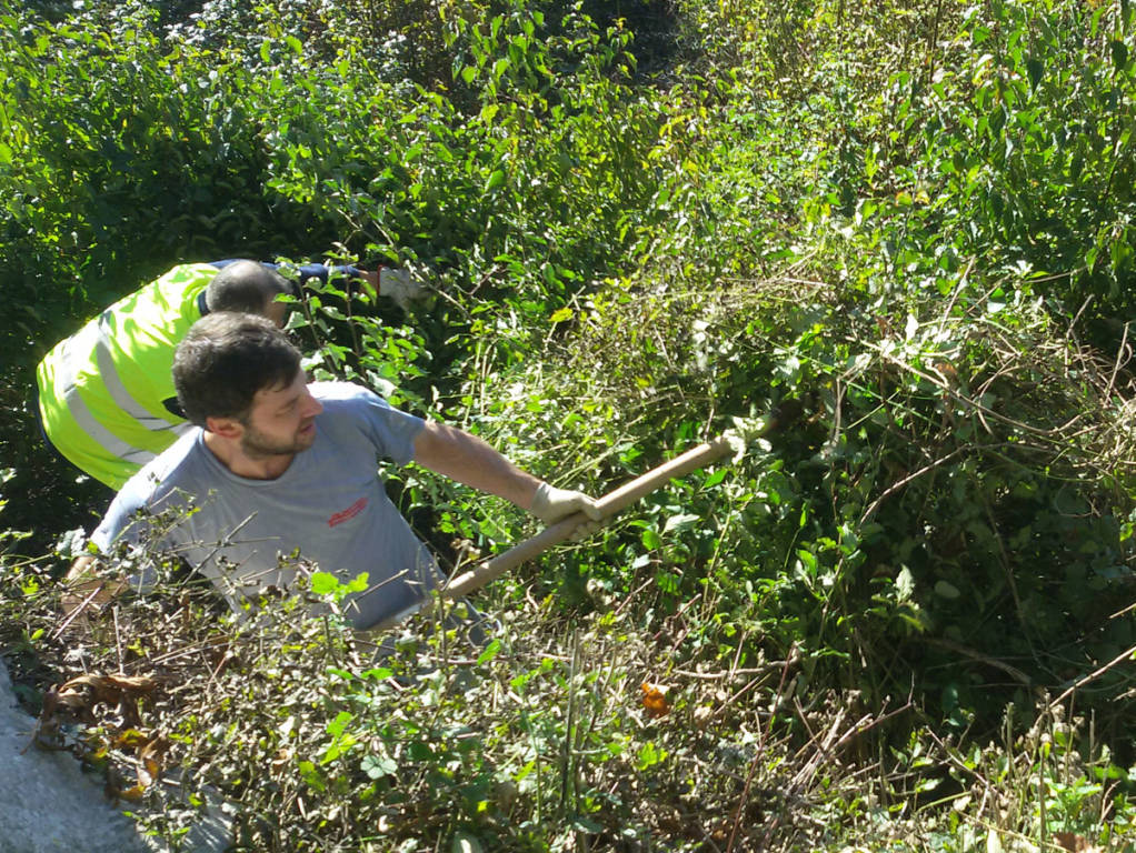 Induno Olona - Pulizia Monte Monarco