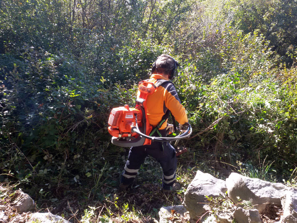 Induno Olona - Pulizia Monte Monarco