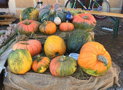 La sagra della zucca