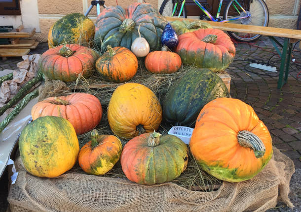 La sagra della zucca