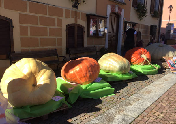 La sagra della zucca