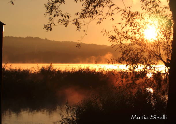 Lago di Varese, Bardello