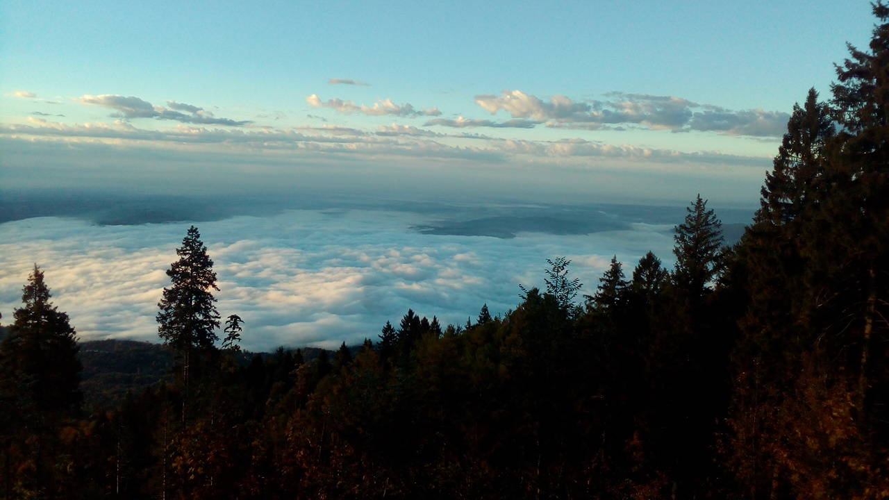 Mattina al Campo dei Fiori