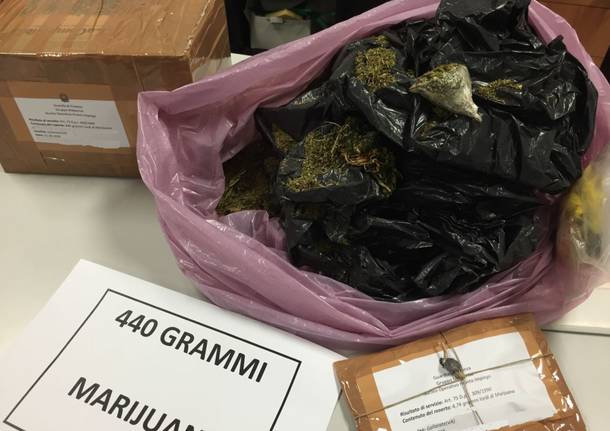 Mezzo chilo di marijuana sequestrato dalla finanza