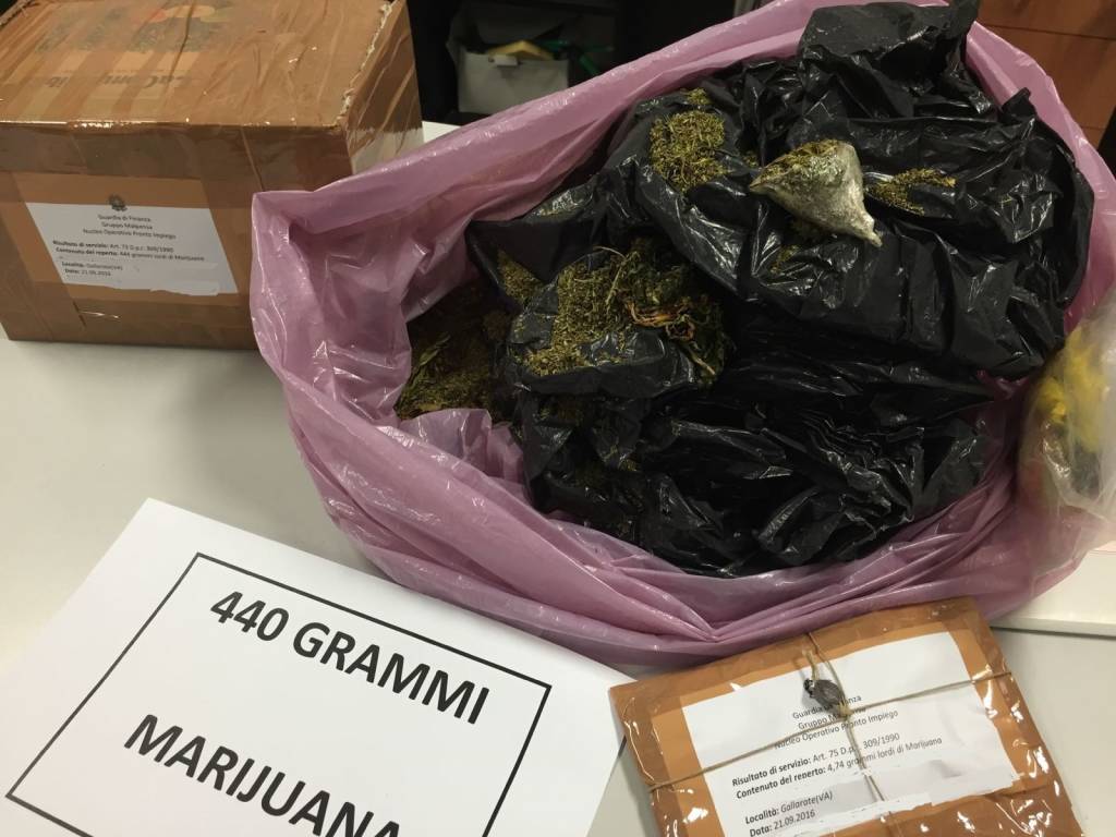 Mezzo chilo di marijuana sequestrato dalla finanza