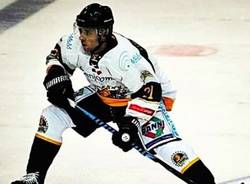 michael mazzacane hockey mastini