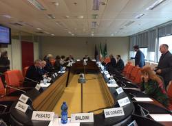 Molina Regione Lombardia Commissione Sanita