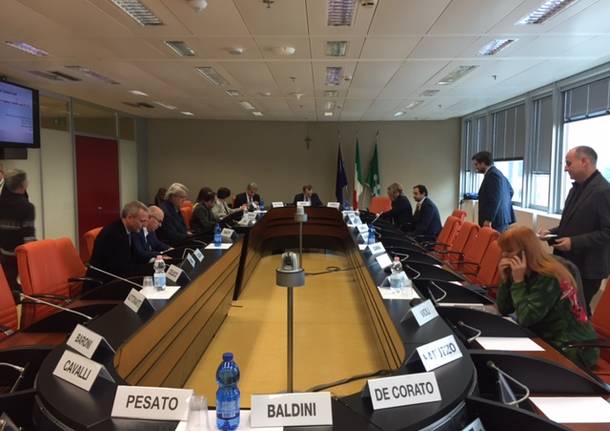 Molina Regione Lombardia Commissione Sanita