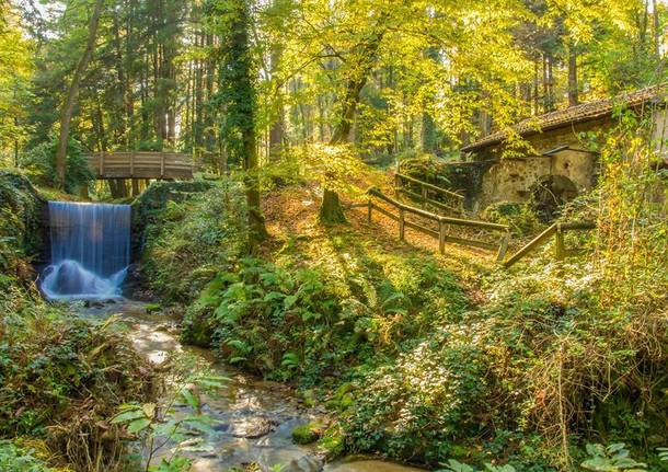 Parco dell'Argentera - Daniele Venegoni