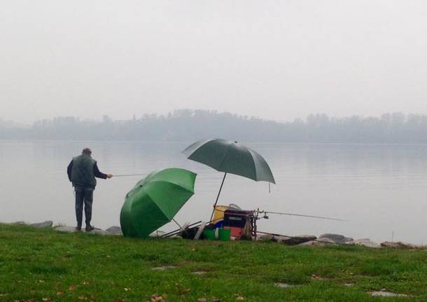 pescatore lago di varese angela garegnani