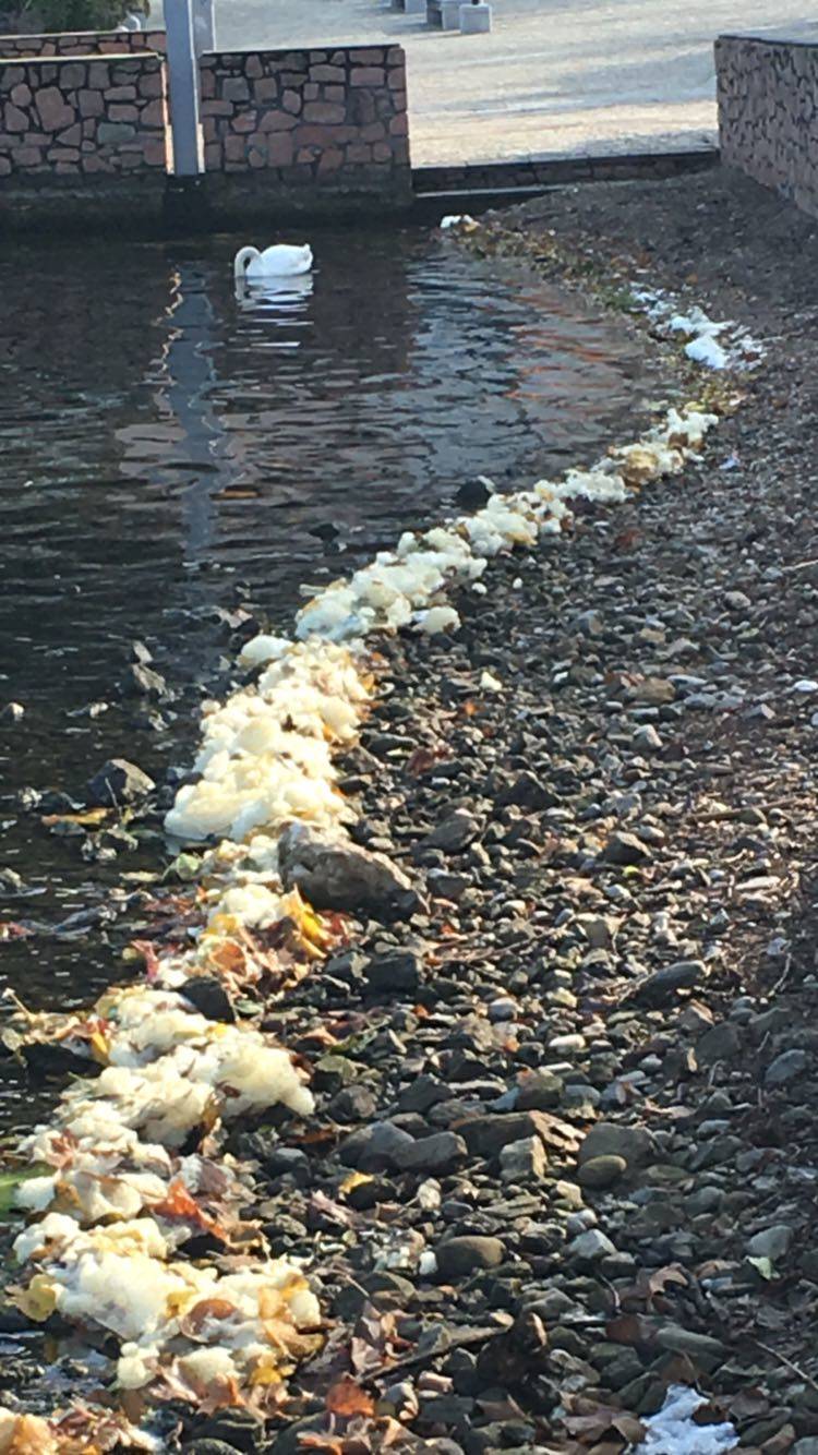 Porto Ceresio - Schiuma nel Ceresio ottobre 2016