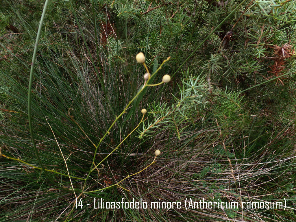 sentiero Salvatore Furia