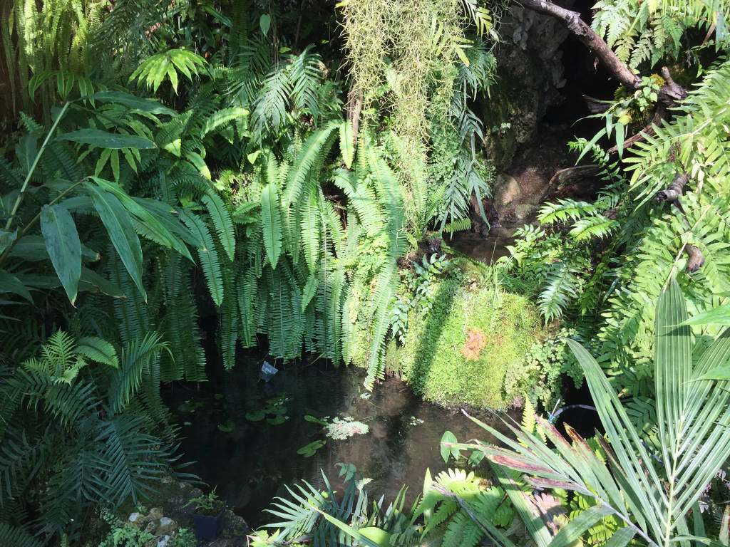 Serra Utopia Tropicale a Comerio 