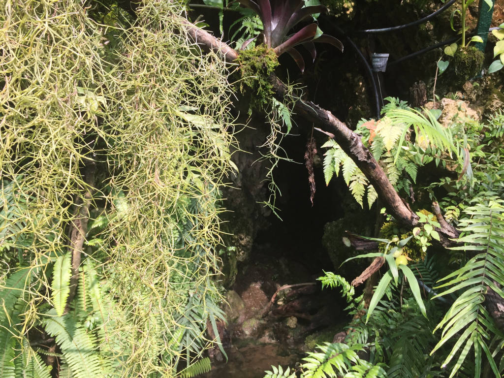 Serra Utopia Tropicale a Comerio 