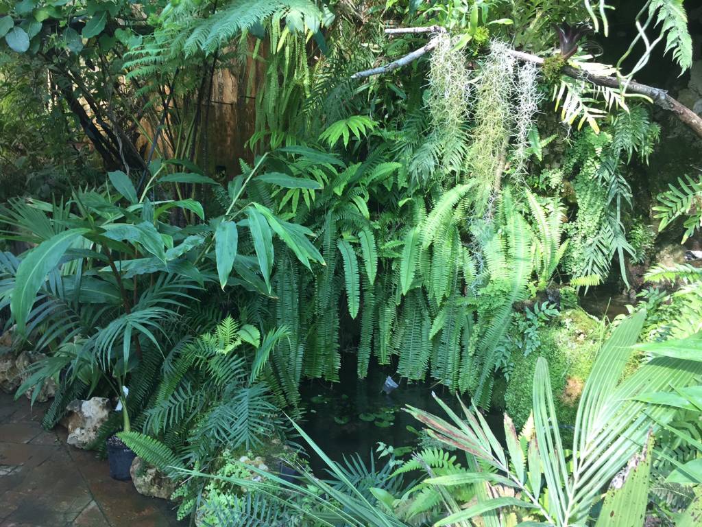 Serra Utopia Tropicale a Comerio 