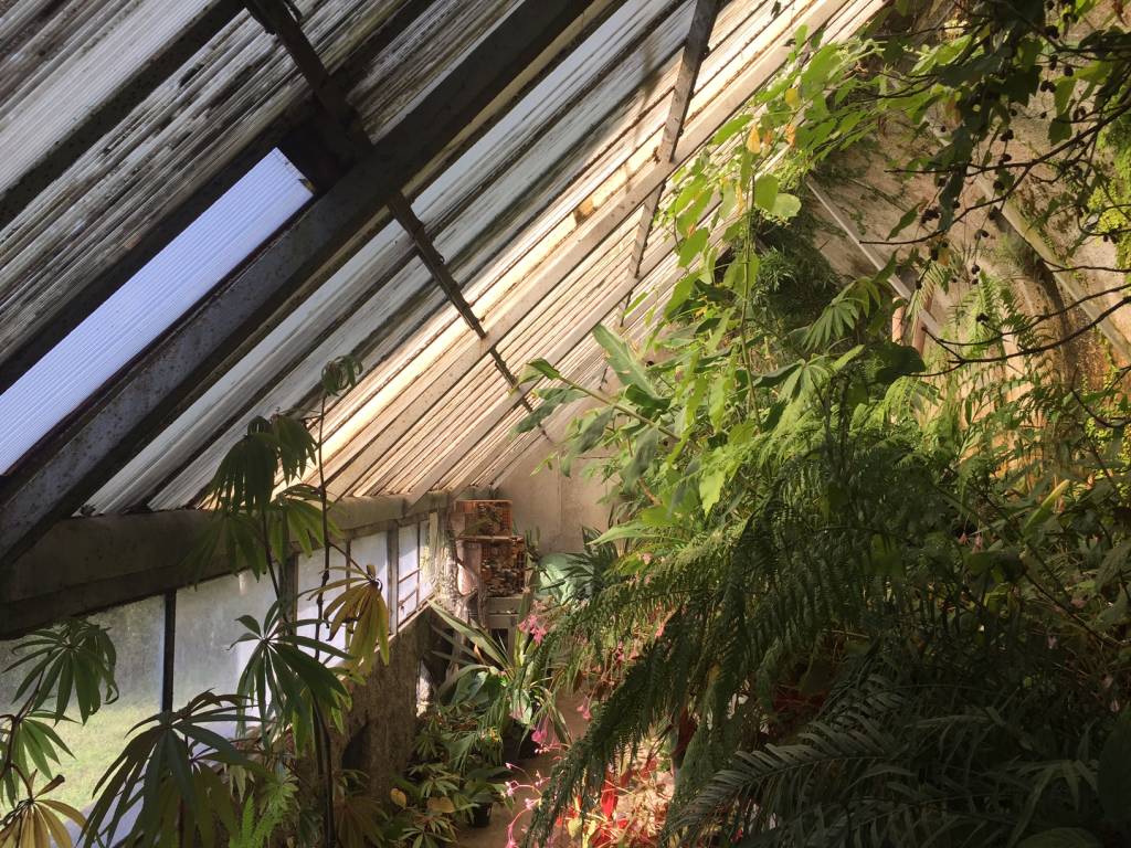Serra Utopia Tropicale a Comerio 