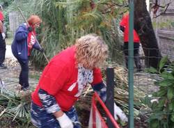 spi cgil gas stazione vergiate