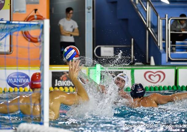 Sport Management Vis Nova