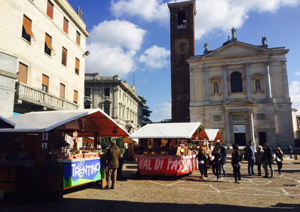 Il Trentino in piazza a Gallarate